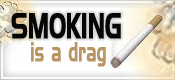 Bumper Stickers For Your Blog